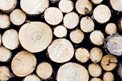 Wärmegewinnung aus Holz bietet Versorgungssicherheit – unabhängig von Wind und Wetter.
