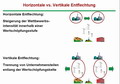 Entflechtung - zum vergrössern klicken