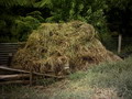 Garten Gartenpflege Kompost ist der natuerlichste Duenger (zum vergroessern klicken)