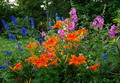 Garten Garten im Sommer Das blueht uns im Juli (zum vergroessern klicken)