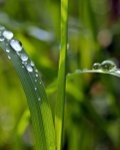 gartentipps und ideen ein hauswasserwerk im eigenen garten