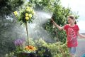 Den Wasserkosten ein Schnippchen schlagen