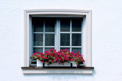 Fensterbank mit Blumenkübeln